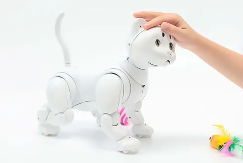 Maicat